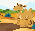 آرزوهای شتر وارداتی