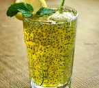 رژیم تخم شربتی