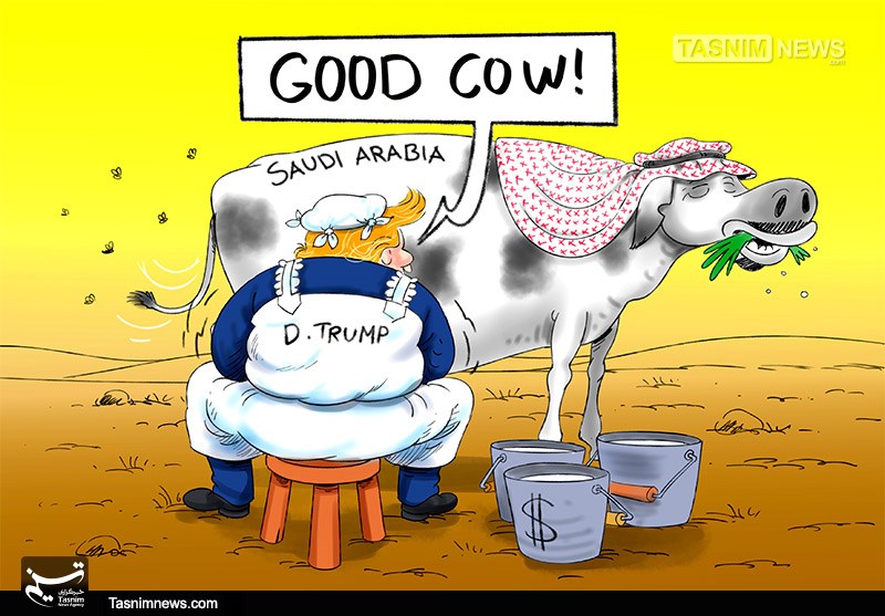 عربستان گاو شیرده