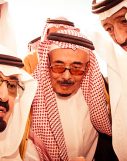 شتری وارث شتر شده